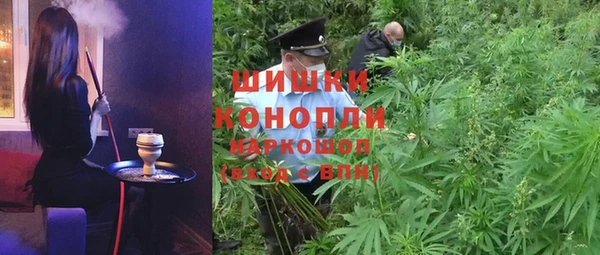 ГАЛЛЮЦИНОГЕННЫЕ ГРИБЫ Бородино